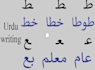 teach you urdu and translate english into urdu