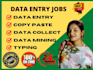 do perfect excel data entry and copy paste in 24 hours