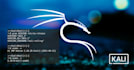 cyber security and network expert highly