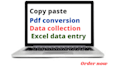 do excel data entry work or typing pdf data, pdf to word