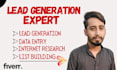 build email list, lead generation and web research