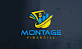 create amazing accounting and finance logo design