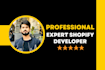 do shopify website development