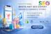 rank ecommerce store on google and ai search result with expert ai SEO, GEO, aeo