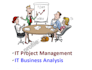 help you with IT project management, business analysis