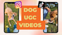 pet dog ugc content for tiktok ig reel video