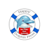 make an unique dolphin logo within 1day