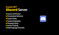 create professional custom discord server for nft