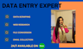 do web research, data entry expert, search data, data extraction, data input