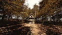 make a realistic landscape cinematic you,ll need in ue5