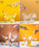 make creative drink and cocktails photography