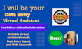 be your search data, data entry expert virtual assistant