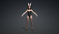 3d character rigging in maya, iclone, blender, unity etc