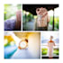 do professional photography for your marketing and ecommerce