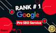 do website onpage SEO and technical optimization service of wordpress