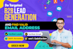 do b2b lead generation, email address, excel data entry and data mining