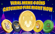 create your own crypto meme coin project
