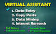 your virtual assistant for data entry, data mining, web research, copy paste