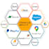 be your offshore netsuite team