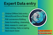 provide accurate datat entry, web research, and excel data cleaning services