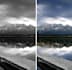 colorize the image professionally and with high accuracy
