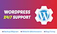 wordpress support, wordpress maintenance, wordpress update