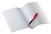 write a 500 words on any subject