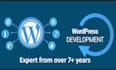 design a professional wordpress website or web design