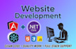 be your angular, react and dot net core developer