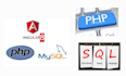 do crud web app with PHP , angular and mysql