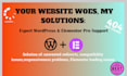 help you to fix any elementor problem wordpress issue or bug