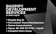 professionally customize, fix and improve your shopify store