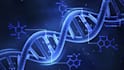 assist you in molecular biology,cell biology and genetics