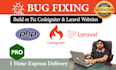 develop or fix any website in codeigniter, laravel, and core PHP