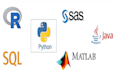 help in descriptive statistics and data analytics in spss, r, stata,python,SAS