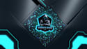 create custom logo stinger transition for your stream