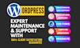 do wordpress maintenance, backup, migrate, support or fix issues for you