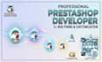 be your professional prestashop developer for bug fixing and customization