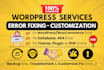 fix any wordpress error and issue in 24 hours