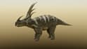make a low poly 3d creature base on your reference