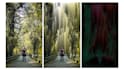 pixel sort your image or video