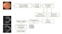 do arduino programming, python and control system projects