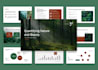 design or redesign powerpoint presentation, business, medical, pitch deck