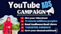 do set up and manage your youtube video ads campaign