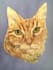create a pet portrait in gouache