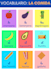 create spanish study materials for teachers and students