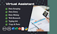 be your virtual assistant for data entry, data mining, copy paste, web research