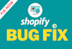 shopify custom coding bug fixing and responsive solutions for shopify store