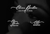 design handwriting, signature, calligraphic, scripted, cursive, handwritten logo