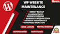do wordpress maintenance, website update and support